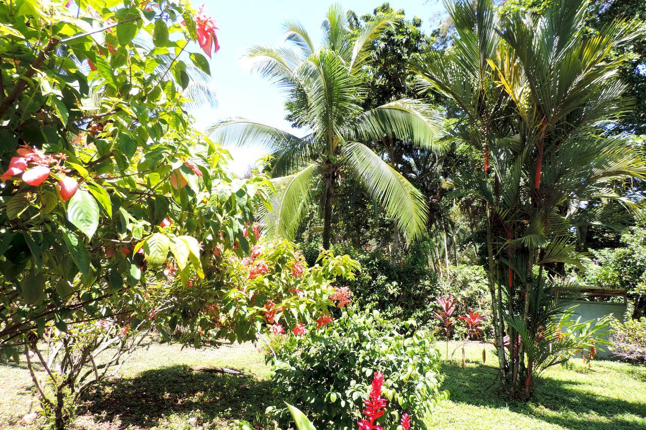 Rosa Lodge Cahuita Kültér fotó