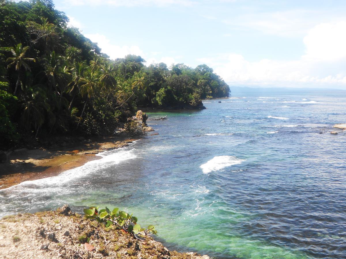 Rosa Lodge Cahuita Kültér fotó
