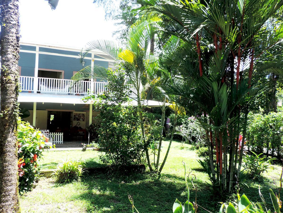 Rosa Lodge Cahuita Kültér fotó