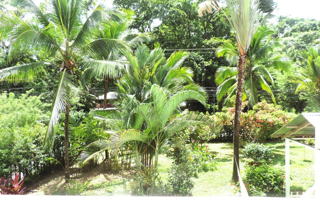 Rosa Lodge Cahuita Kültér fotó