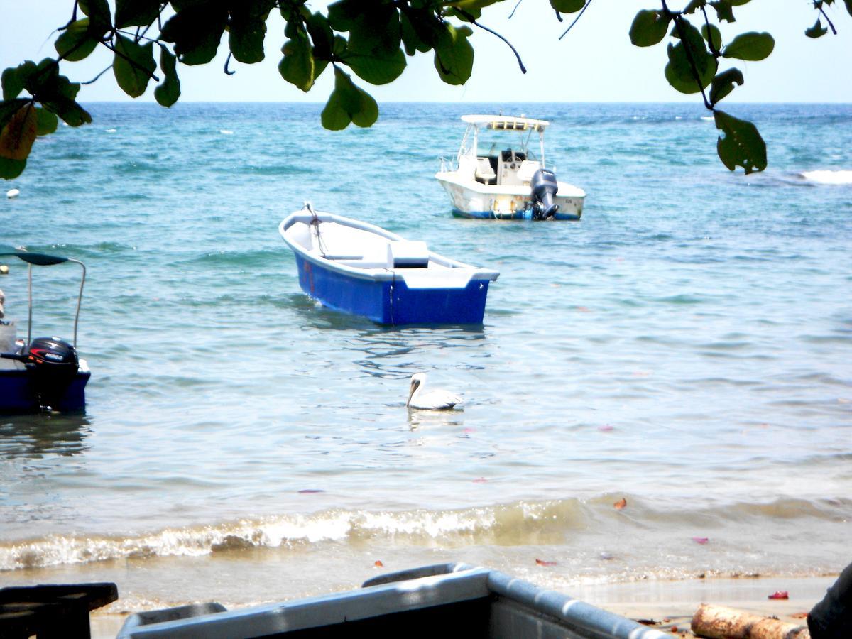 Rosa Lodge Cahuita Kültér fotó