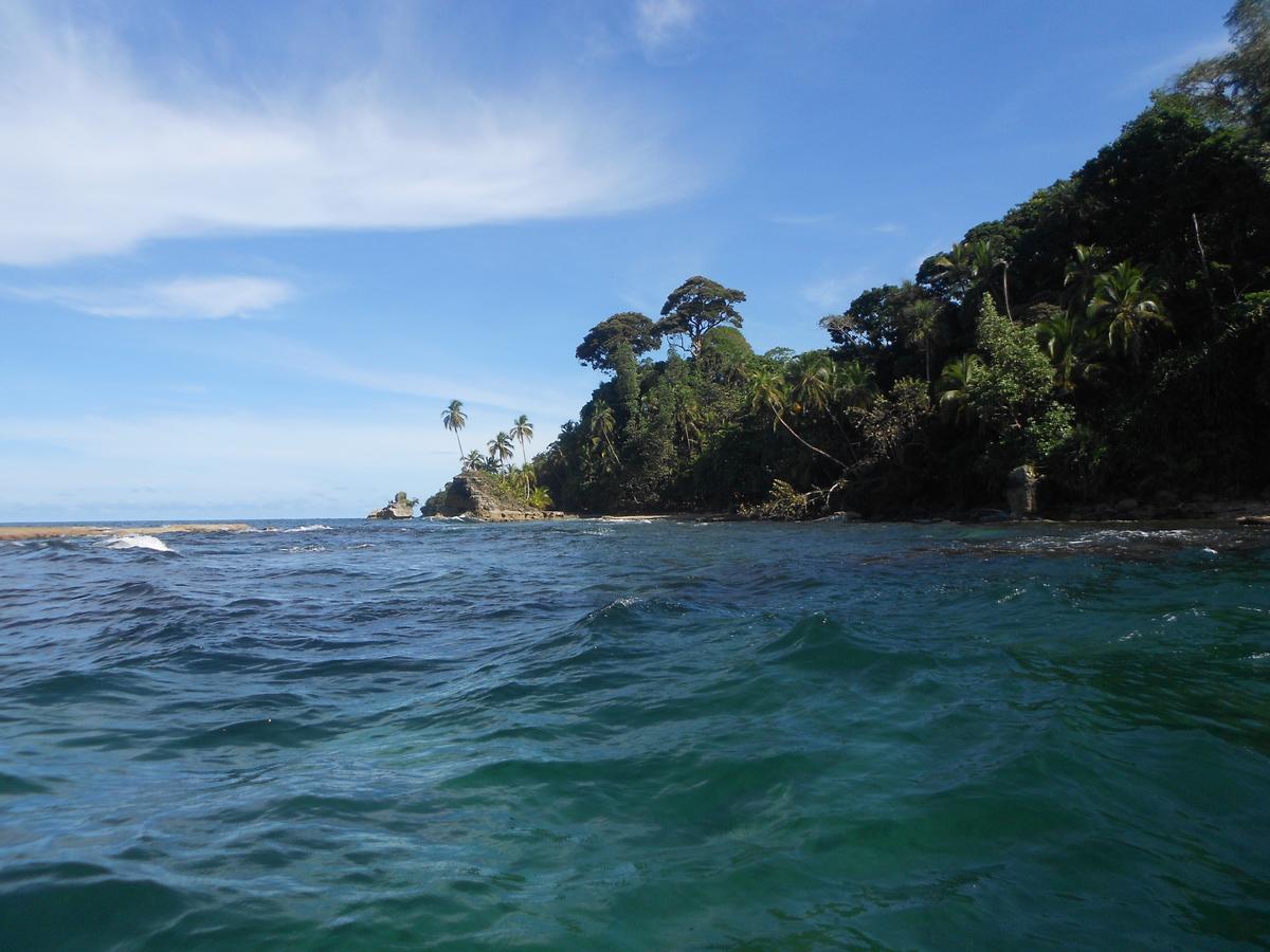 Rosa Lodge Cahuita Kültér fotó